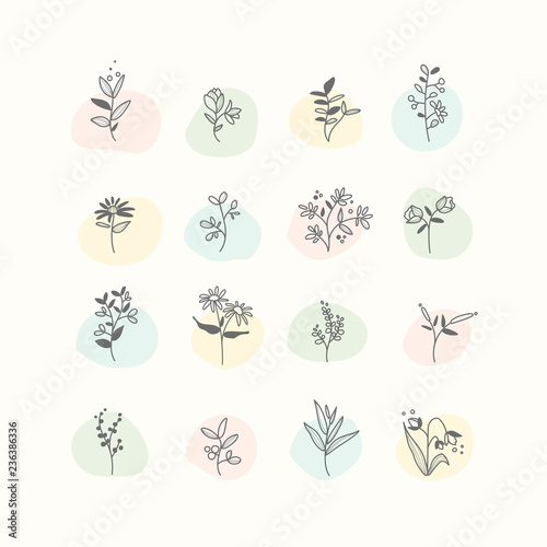 Set of hand drawn botanical elements vector