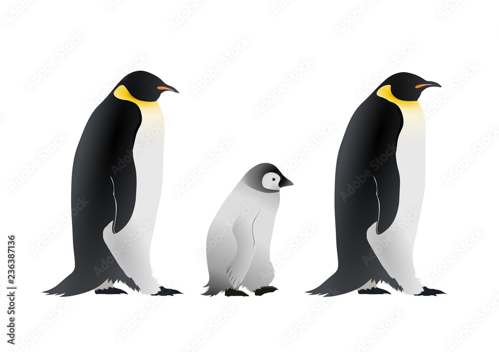 Obraz premium ペンギン