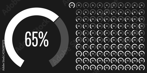 Set of circular sector percentage diagrams (meters) from 0 to 100 ready-to-use for web design, user interface (UI) or infographic - indicator with white