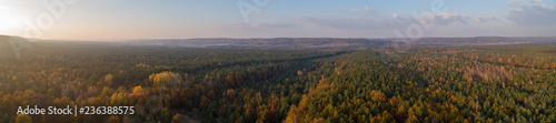 autumn forest, yellow trees, from the air © Vidima studio MAX