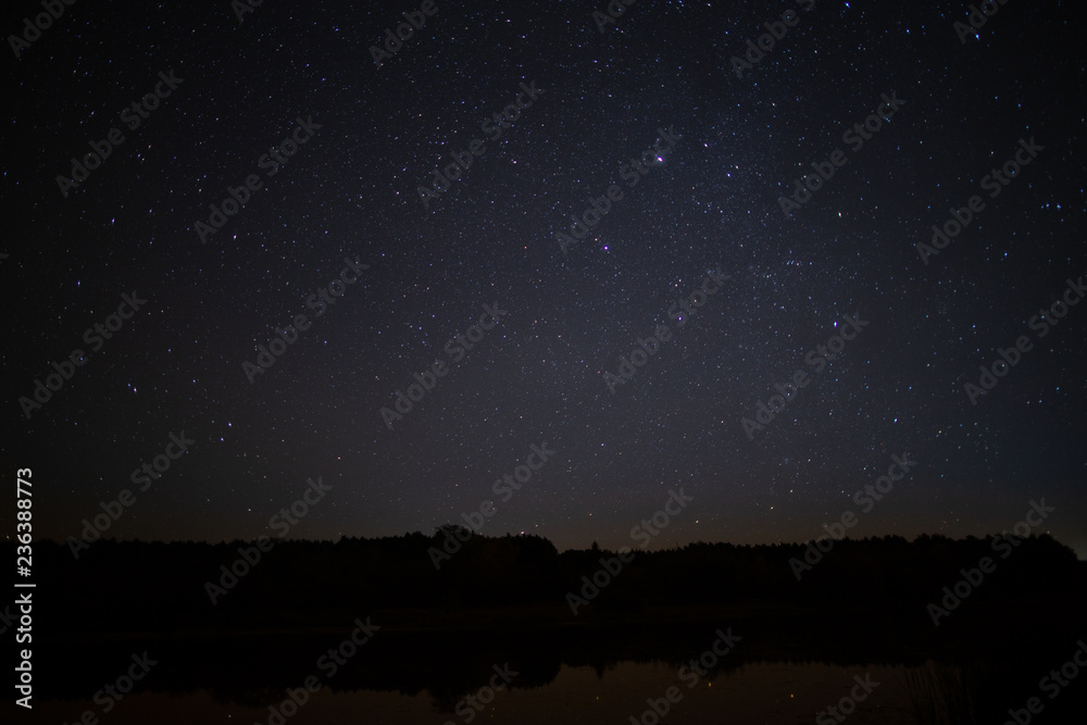 Starry sky, night, forest, the Milky Way