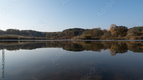autumn forest lake © Vidima studio MAX