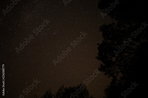 Starry sky, night, forest, the Milky Way