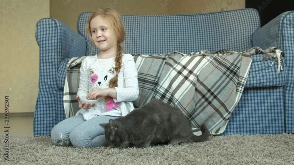 happy little girl feeds a gray cat sausage in the room happy little girl feeds a gray cat sausage in the room