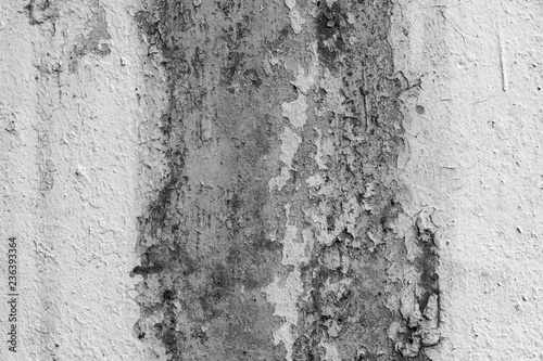 white peeling paint on the old rough concrete surface. mold on wall