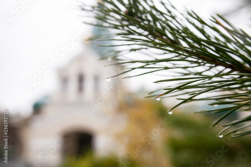 beautiful christian cathedral against. Blurred background of a church against a background of spring flowers on a tree. Selective focus