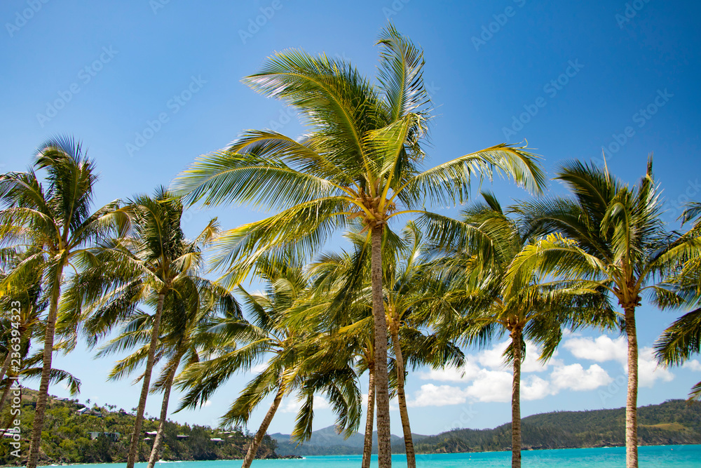 Obraz premium Hamilton island beach