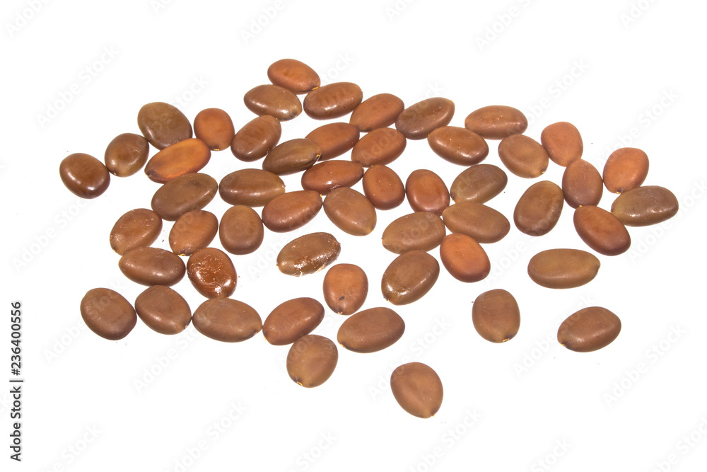 seeds isolated on white background seeds isolated on white background
