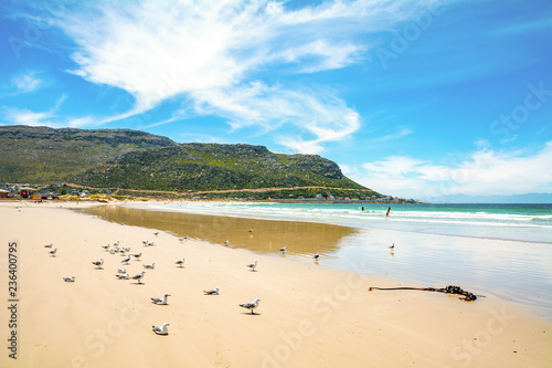 Fototapeta Naklejka Na Ścianę i Meble -  beach and sea