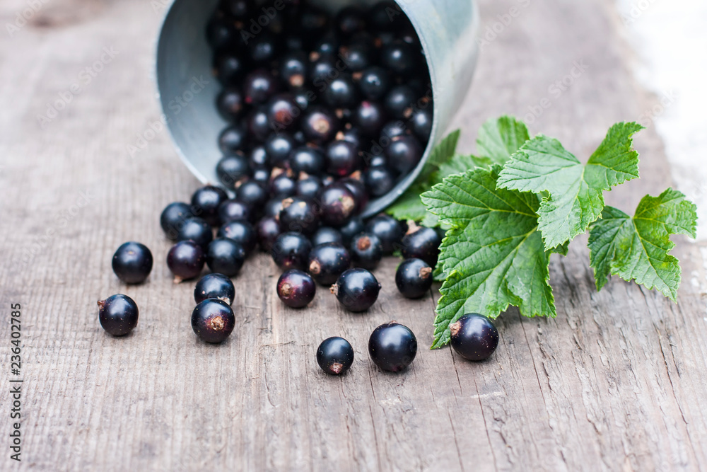 fresh black currant in the glass, on rustic wooden board. fresh black currant in the glass, on rustic wooden board.