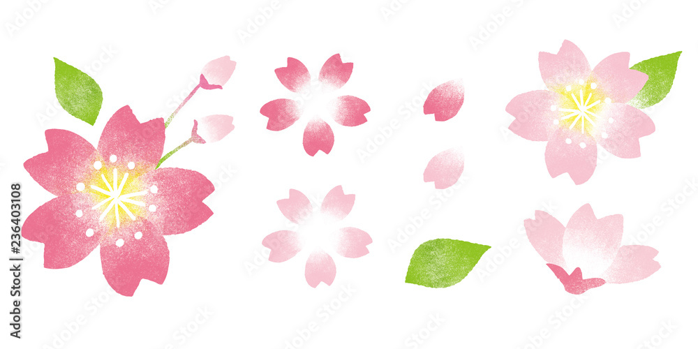 桜　水彩イラスト　セット　