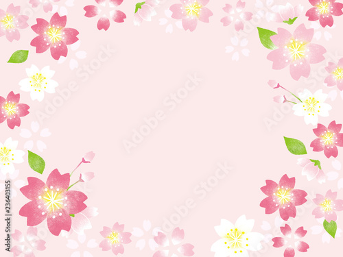 桜　フレームイラスト