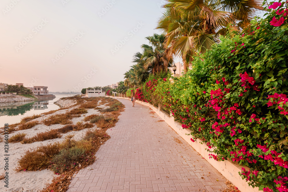 September 16, 2017 - Al Hamra Village in Ras al Khaimah, United Arab Emirates. Green hedge with pink flowers in arabian apartment complex modern residence area in Persian gulf by sunrise.