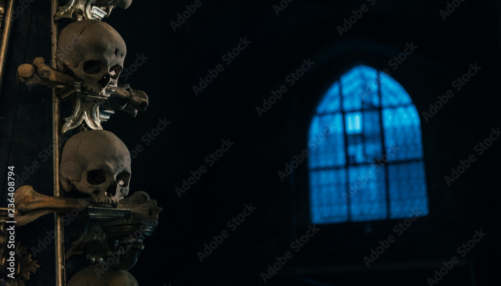 Humans skull in the dark with blue light window background still life. Horror place concept image. Humans skull in the dark with blue light window background still life. Horror place concept image.