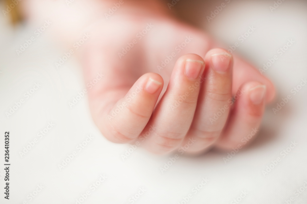 hands sleeping newborn baby close up on white background hands sleeping newborn baby close up on white background