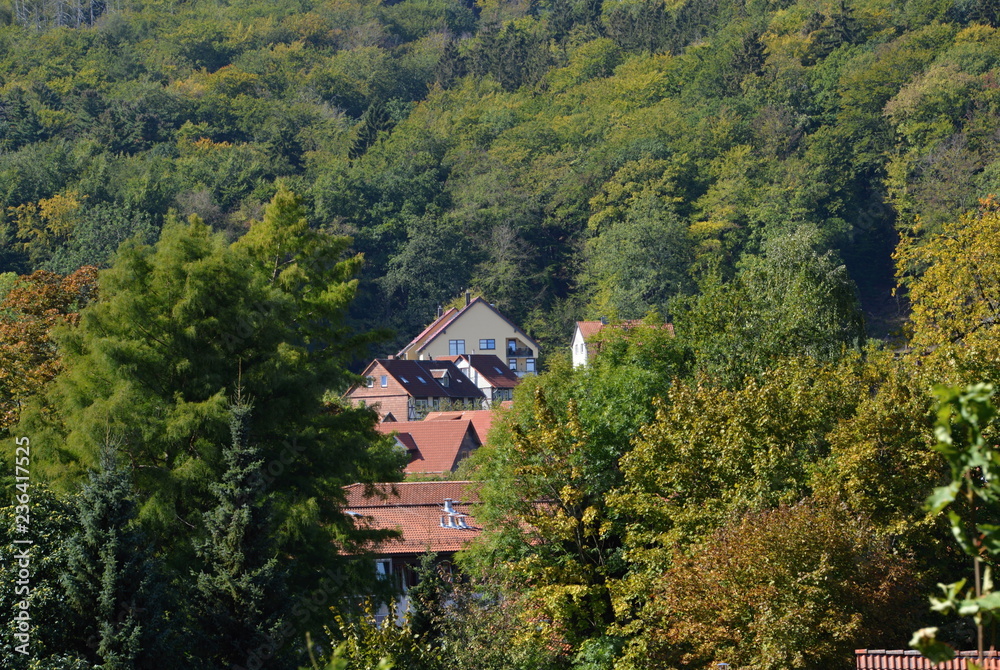 Ilsenburg im Harz, Sachsen - Anhalt