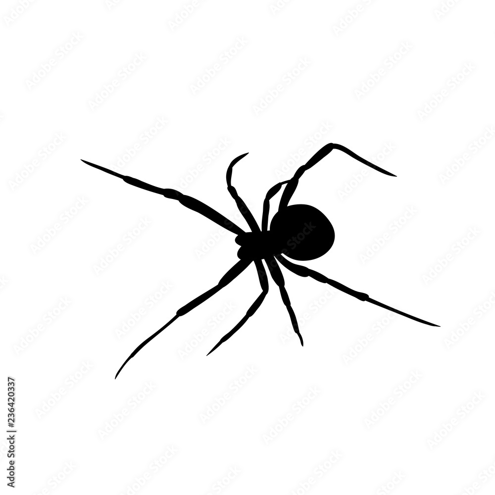vector, isolated, spider one on white background vector, isolated, spider one on white background