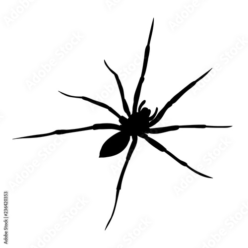  isolated on white background spider one