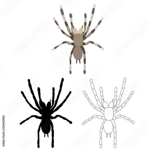 spider, sketch and silhouette