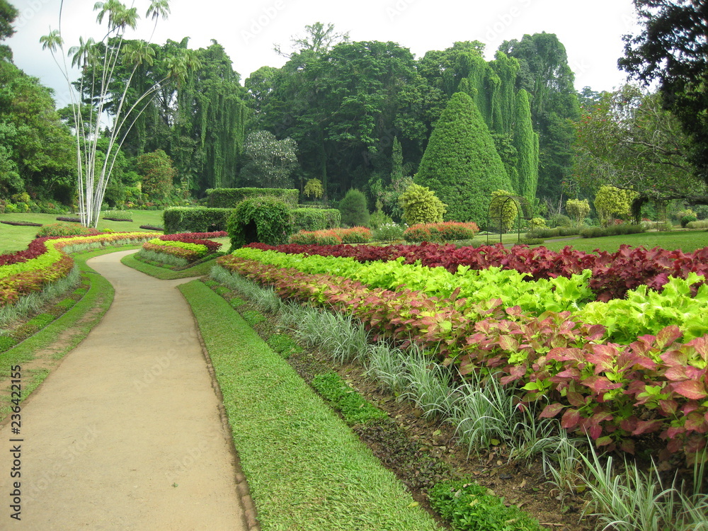 Fototapeta premium Sri Lanka