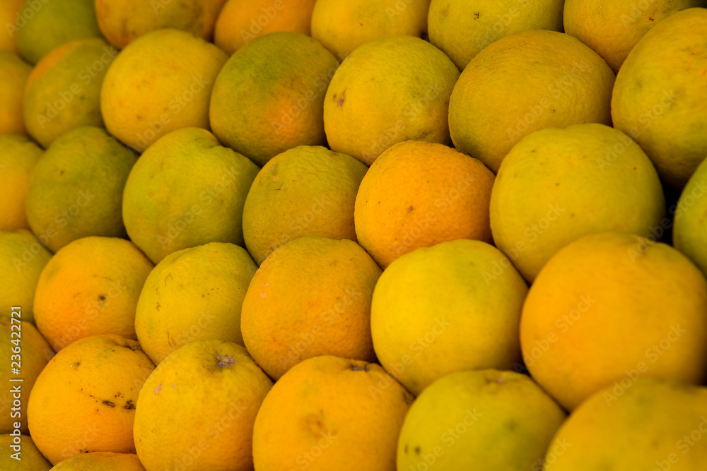 A lot of yellow oranges intended for fresh.