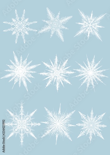 illustration of snowlakes on the flat blue background