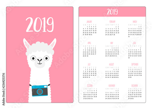 Llama alpaca and camera. Simple pocket calendar layout 2019 new year. Week starts Sunday. Cute cartoon character. Vertical orientation. Flat design. Pink background.