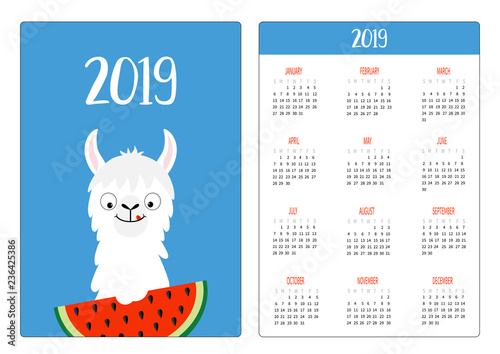 Llama alpaca and watermelon. Simple pocket calendar layout 2019 new year. Week starts Sunday. Cute cartoon character. Vertical orientation. Flat design. Blue background.
