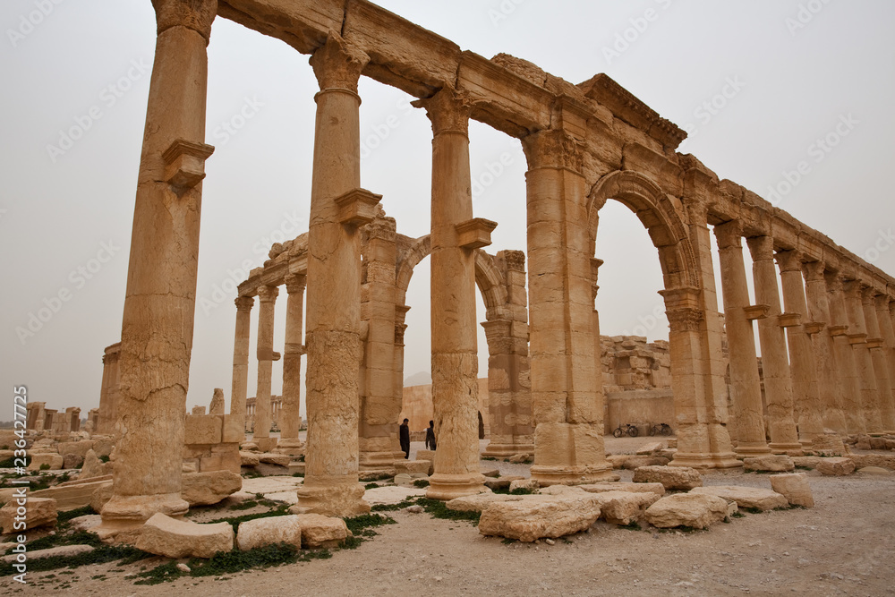 Fototapeta premium Ruins of ancient Palmyra. Syria before the war