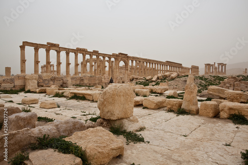 Ruins of ancient Palmyra. Syria before the war photo