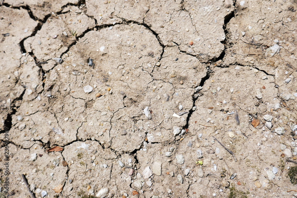 Dried and cracked mud soil fragment as a background texture . Dried and cracked mud soil fragment as a background texture .