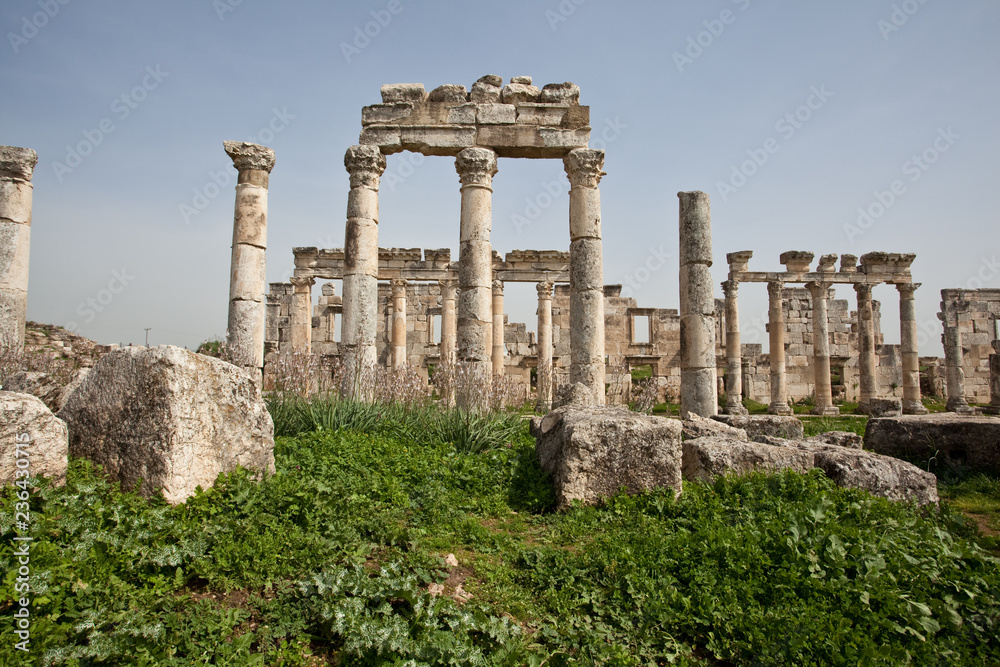 Ruins of the ancient dead city Apamea (Afamia). Syria before the war