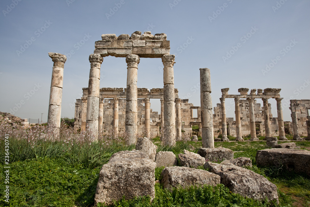 Ruins of the ancient dead city Apamea (Afamia). Syria before the war