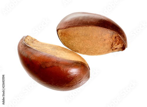 Two nuts Vitellaria paradoxa , commonly known as shea tree or shi tree, Karite. Isolated on white background photo