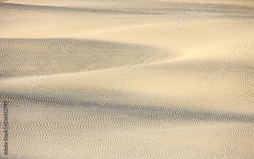 The sand dunes in the Thal desert 