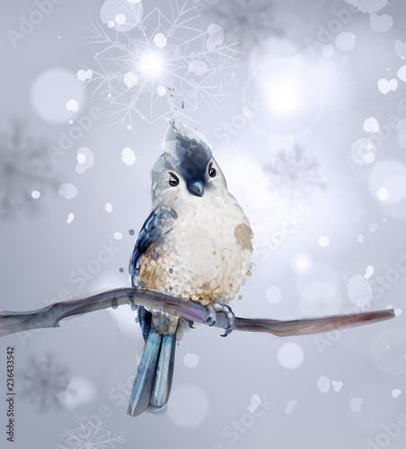 Cute bird on a branch watercolor Vector. Winter snowy beautiful backgrounds