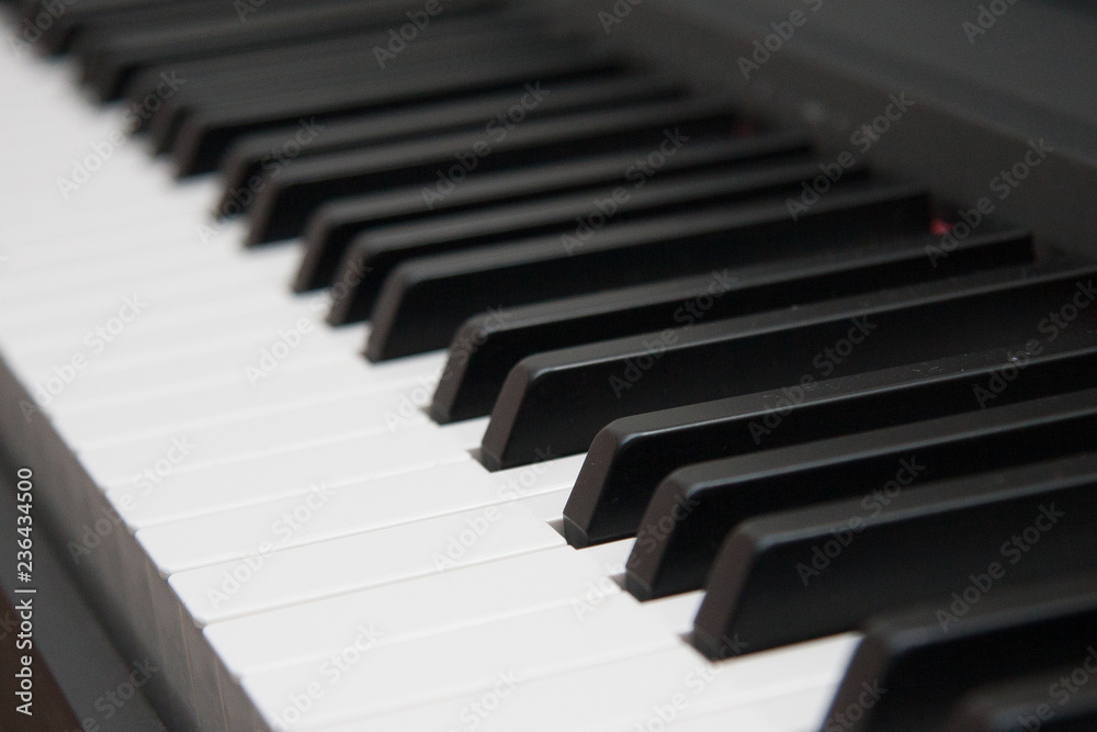 close-up of piano keys. close frontal view. Black and white close-up of piano keys. close frontal view. Black and white