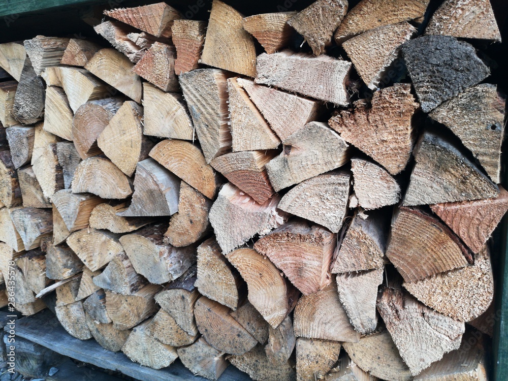 Piles of logwood Piles of logwood