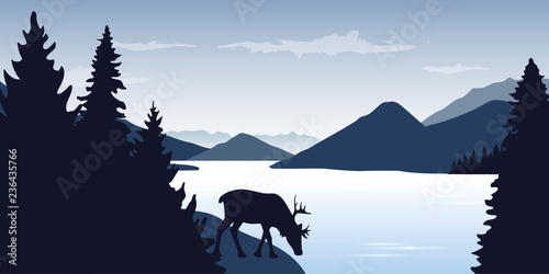 reindeer is drinking by the river wildlife nature landscape vector ilustration EPS10