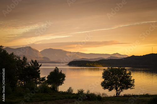 Landscape with tree. Sunset time by the sea shores in Norway.