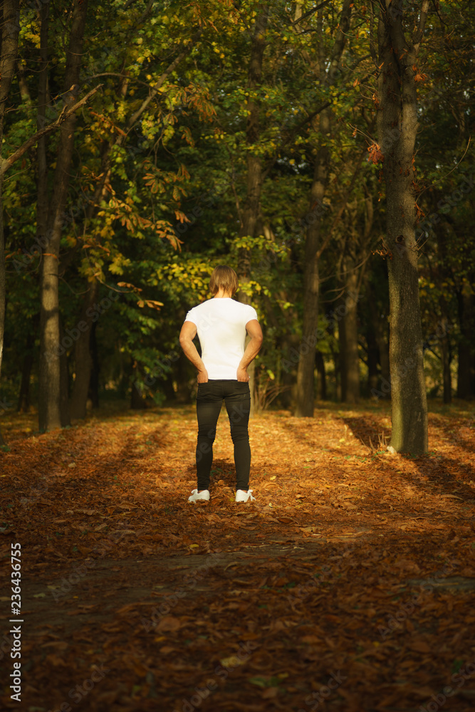 young man in autumn forest young man in autumn forest