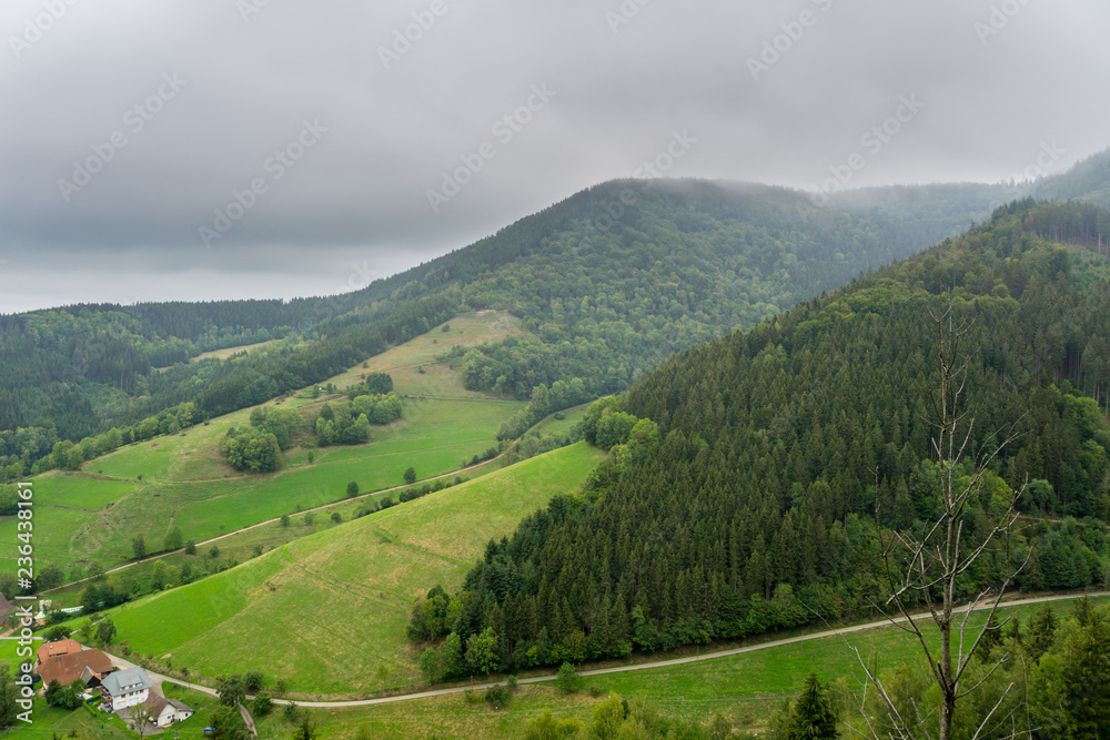 Germany, Tree covered mountains of black forest nature landscape in foggy atmosphere