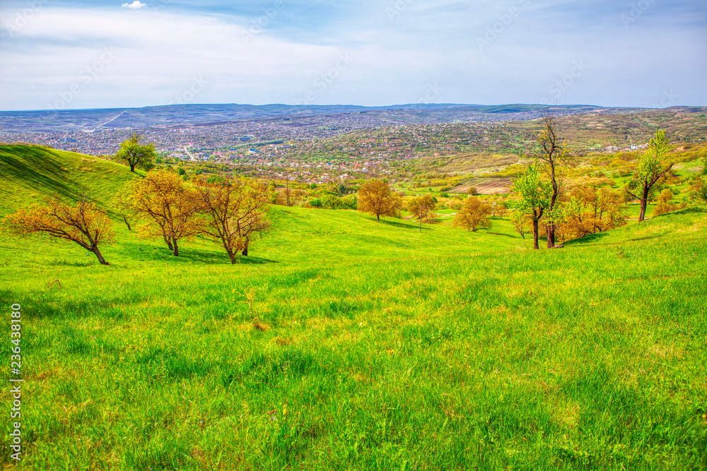 Obraz premium green valley and town