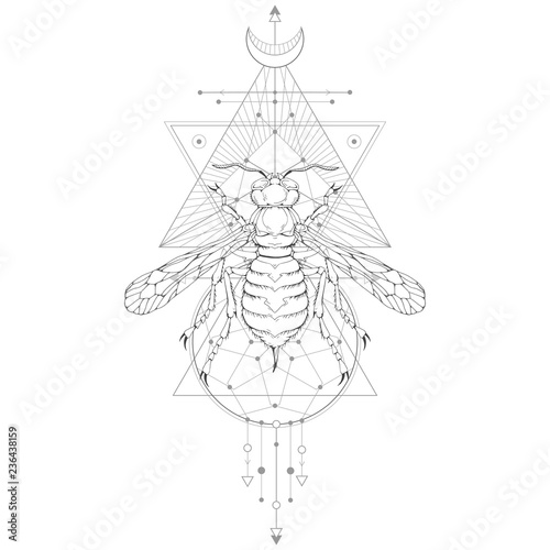 Vector illustration with hand drawn wasp and Sacred geometric symbol on white background. Abstract mystic sign. Black linear shape. For you design.