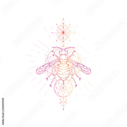 Vector illustration with hand drawn wasp and Sacred geometric symbol on white background. Abstract mystic sign.