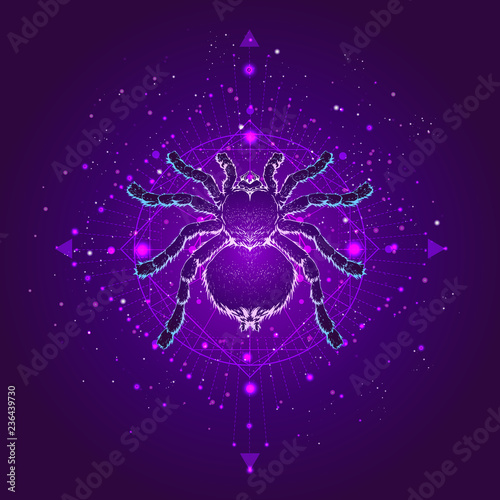 Vector illustration with hand drawn spider tarantula and Sacred geometric symbol against the starry sky. Abstract mystic sign.