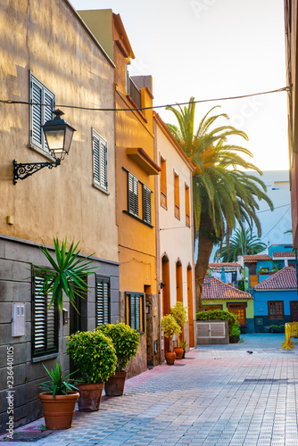 Fototapeta Naklejka Na Ścianę i Meble -  Colourful houses, palm on street Puerto de la Cruz town Tenerife Canary Islands
