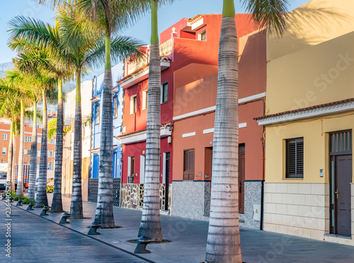 Colourful houses, palm on street Puerto de la Cruz town Tenerife Canary Islands © Kotangens
