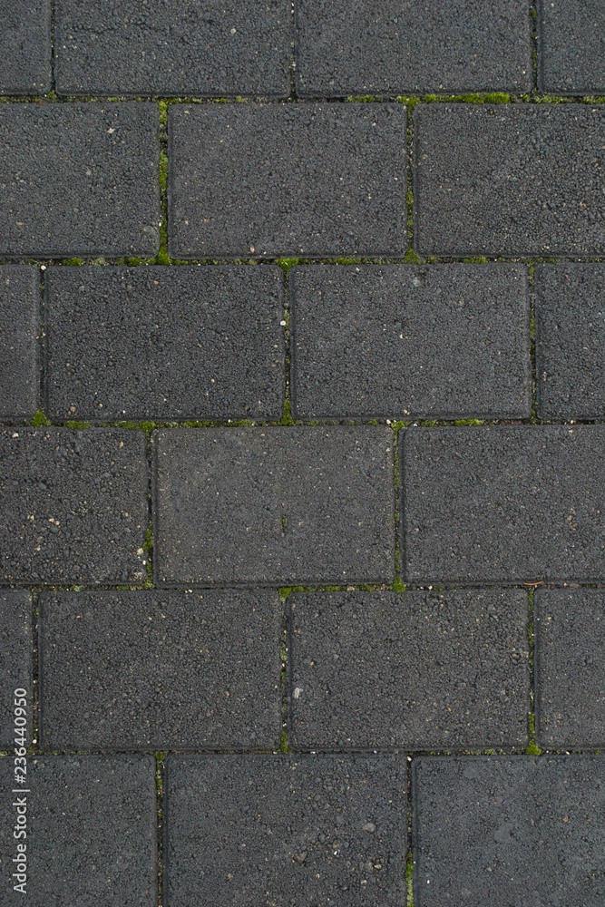 Fototapeta premium Gray pavement with green moss