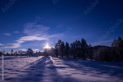 Night in the snowy forest. Norwegian wintertime. photo